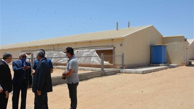 تشغيل مشروع عنابر تربية الدواجن بالمنيا