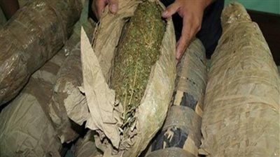 المؤبد والمشدد 15 سنة وغرامة 300 ألف جنيه لـ زوجين تجار بانجو بالشرقية