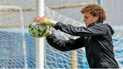 أحمد نادر السيد: 