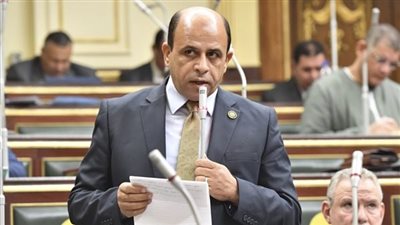 نائب دائرة حادث 