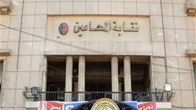 نقيب محامي جنوب القاهرة يخاطب سفارات الدول العربية للتصدي لجرائم العدوان الصهيوني