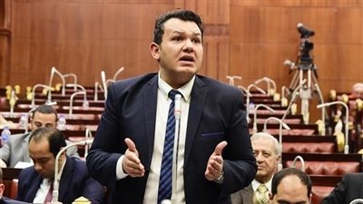  للحفاظ على السلع الاستراتيجية.. التنسيقية تتقدم بتعديل على قانون حماية المستهلك