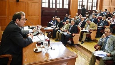 وزيرة البيئة تشارك في اجتماع لجنة الطاقة بمجلس النواب