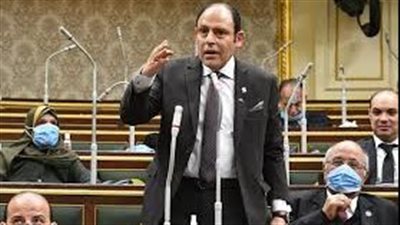 النائب رياض عبد الستار: العاملون بقناة السويس أثبتوا كفاءة عالية أمام العالم