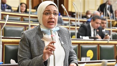 برلمانية تطالب بمد فترة غلق المحال التجارية ساعتين بأسوان بسبب ارتفاع درجة الحرارة