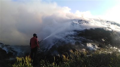 تحرير 5 محاضر ضد مزارعين بكفر الشيخ بسبب حرق قش الأرز 