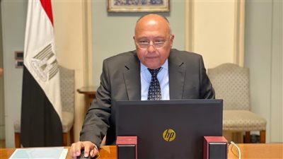 وزير الخارجية: تحقيق انتصار شامل على تنظيم داعش الإرهابي يتطلب المزيد من العمل المشترك