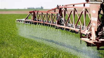 من بينها زيادة الرقعة الزراعية.. تعرف على أهداف المبادرة التي أطلقتها نقابة الفلاحين