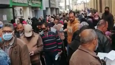 زحام شديد داخل الضرائب العقارية ببورسعيد دون مراعاة التباعد الاجتماعي (صور) 