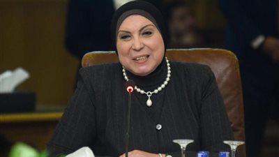 وزيرة الصناعة: التواصل مع شركة السويس للصلب لتعظيم الاستفادة من خردة السيارات القديمة