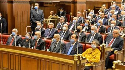 مجلس الشيوخ يناقش مشروع قانون 