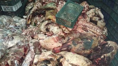 نيابة الإسكندرية تطلب تحريات المباحث حول ضبط طن 