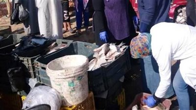 التحفظ على 1.2 طن أسماك ولحوم ودواجن فاسدة في الأسواق بالشرقية (صور)