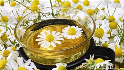 البابونج افضل علاج لأمراض الجيوب الأنفية