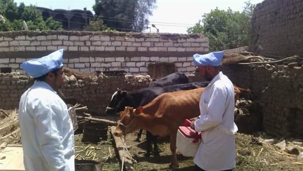 الحملة القومية للتحصين