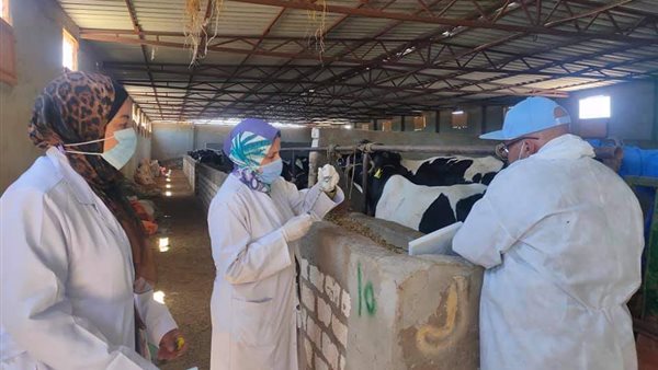 جانب من الحملة