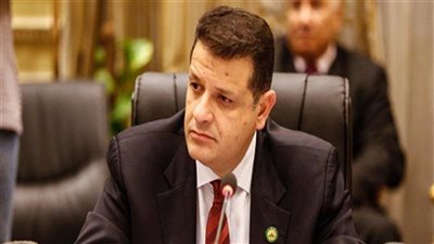 النائب طارق رضوان: مبادرة حياة كريمة تطبيق لمفهوم حقوق الإنسان