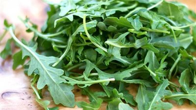 يعالج حصوات الكلى ويحسن الرؤية.. تعرف على فوائد تناول الجرجير