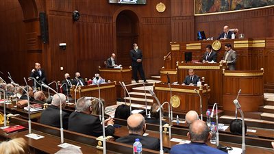 الشيوخ يرفع جلساته لـ18 أبريل بعد الموافقة مبدئيًا على قانون المهندسين