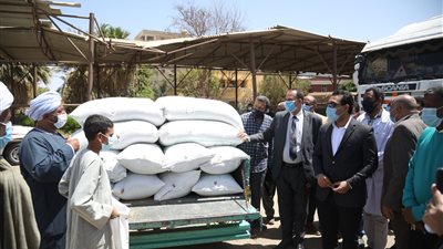 بسبب الظروف الجوية.. بدء استلام محصول القمح مبكرًا في قنا    