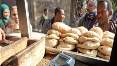 تحرير 289 محضر مخالفات تموينية خلال حملات على أسواق الإسكندرية 