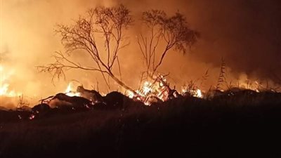 إصابة 4 أشخاص باختناق بسبب حريق شركة مواد غذائية بالبحيرة