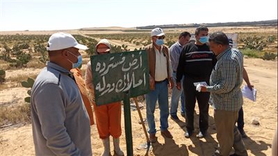 استرداد وحجز إداري لـ16 قطعة أرض من غير الجادين بوادي النطرون