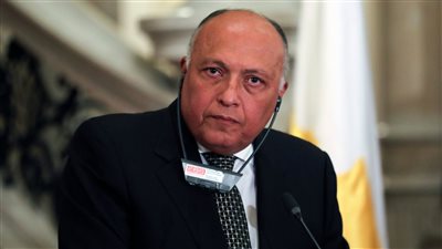 وزير الخارجية: مصر ستتخذ كل الإجراءات الكفيلة بحماية أمنها المائي في الوقت المناسب