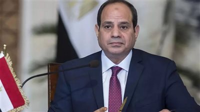 السيسي عن ميكنة الإجراءات الضريبية: 