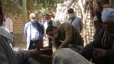 جامعة المنيا تواصل قوافلها المتكاملة بـ