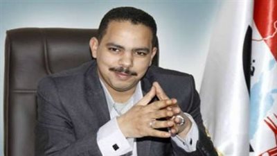 أشرف رشاد: الأغلبية داخل مجلس النواب تمثل المواطن وليس الحكومة