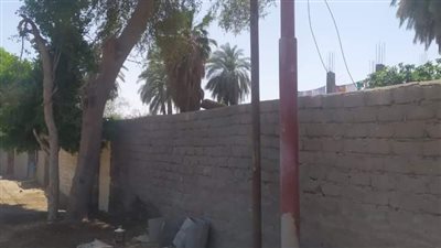 مصرع شاب سقط من أعلى عمود إنارة في بني سويف 