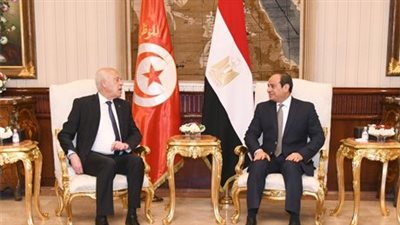 بينها الملف الليبي.. أبرز الملفات على طاولة القمة المصرية التونسية 