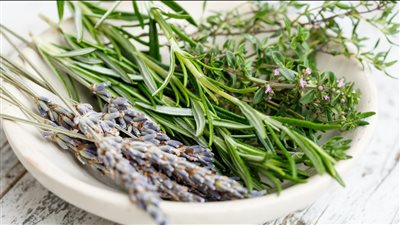 أبرزهم الفلفل الأسود واليانسون.. أعشاب لعلاج العضلات والأعصاب