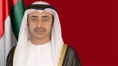 وزير الخارجية الإماراتي يشير إلى تحريك مصر حاملة الطائرات ميسترال وتحويلها لمستشفى ميداني