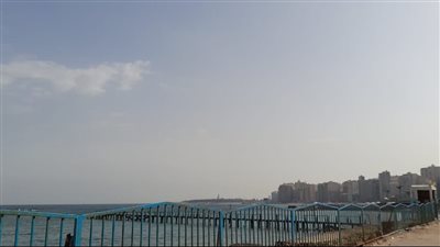 الصقيع يضرب الإسكندرية.. وتحذير للمواطنين: 