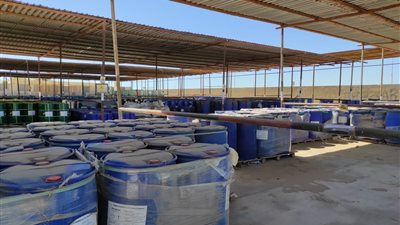 وزيرة البيئة تتابع الموقف البيئي للصرف الصناعي لشركات البترول بجنوب سيناء