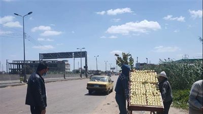 رفع 555 حالة إشغال طريق خلال حملات مكبرة بمراكز البحيرة