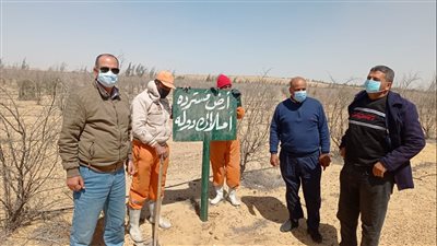 استرداد وحجز إداري لـ169 فدانًا من غير الجادين بوادي النطرون