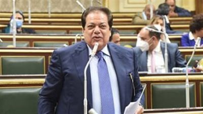 أبو العينين: أداء البرلمان في دور الانعقاد الأول عبر عن صوت الشارع 