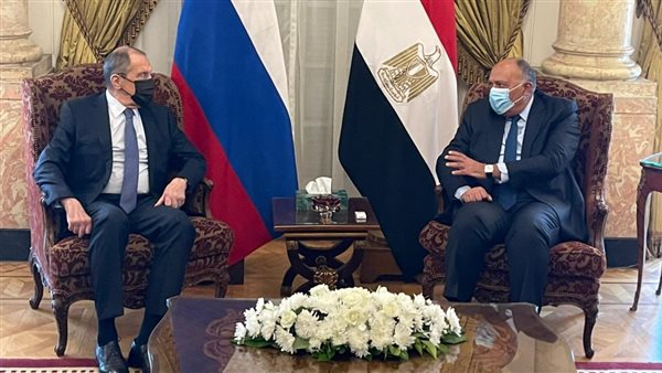 السفير سامح شكري