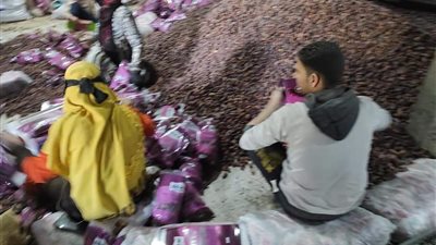 ضبط 1600 لفة قمر الدين و2 طن بلح مجهولة المصدر بحملة على المنشآت الغذائية بالقليوبية (صور) 