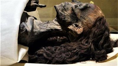 مدير مخزن المومياوات يكشف طبيعة الزيوت المستخدمة في شعر الملكة 