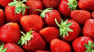 الزراعة عن حظر السعودية لصادرات الفراولة المصرية: القرار تنظيمي ويخص كل دول العالم