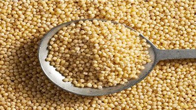 تخفيف التوتر وتعزيز الطاقة.. تعرف على فوائد حبوب الدخن