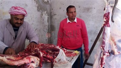 الكيلو بـ90 جنيهًا.. حملة في سمالوط لمواجهة ارتفاع أسعار اللحوم مع بداية رمضان