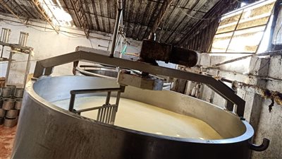 في أول أيام رمضان.. غلق مصنع ألبان وإعدام 39 طن سلع فاسدة بالشرقية (صور)