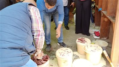 حملة على الأسواق بحي الجمرك وسط الإسكندرية