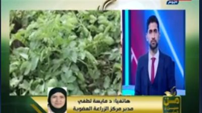 أستاذ زراعة حيوية: قانون الزراعة العضوية يدعم صحة المواطن والاقتصاد القومي
