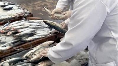 ضبط وإعدام 18 طن لحوم ودواجن فاسدة بالشرقية (صور)